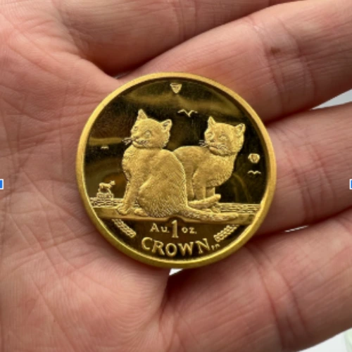 one ounce gold coin