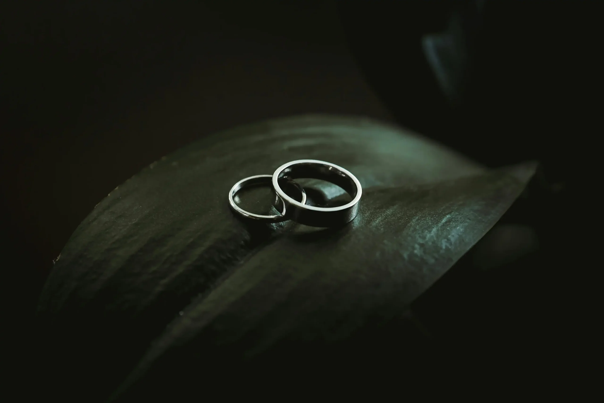 Two white gold wedding rings rest artistically on a plant leaf