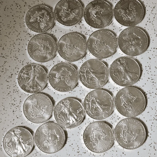 20 1oz silver bullion coins