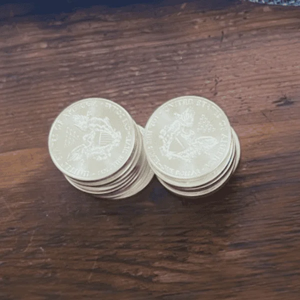 20 fine silver bullion coins