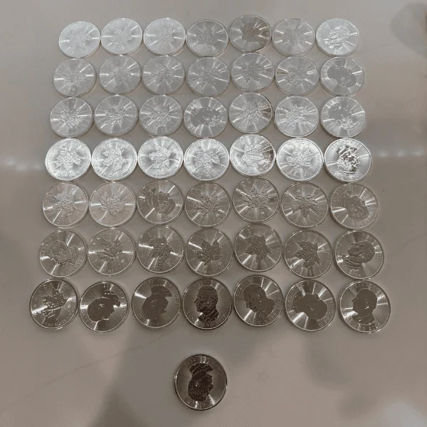 50 1oz silver bullion coins