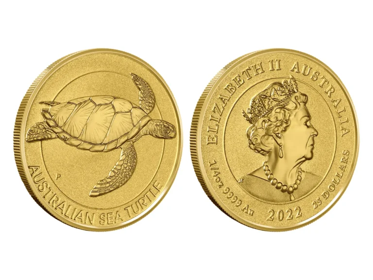 australian sea turtle
