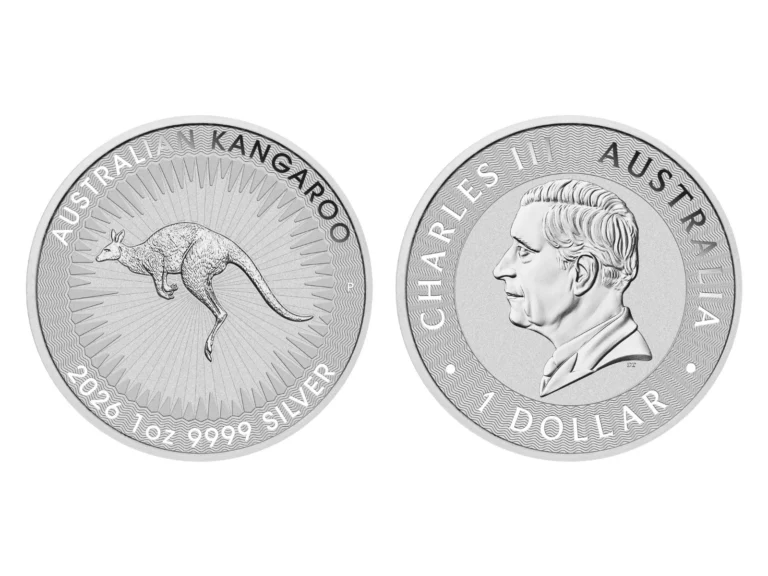 australian silver kangaroo