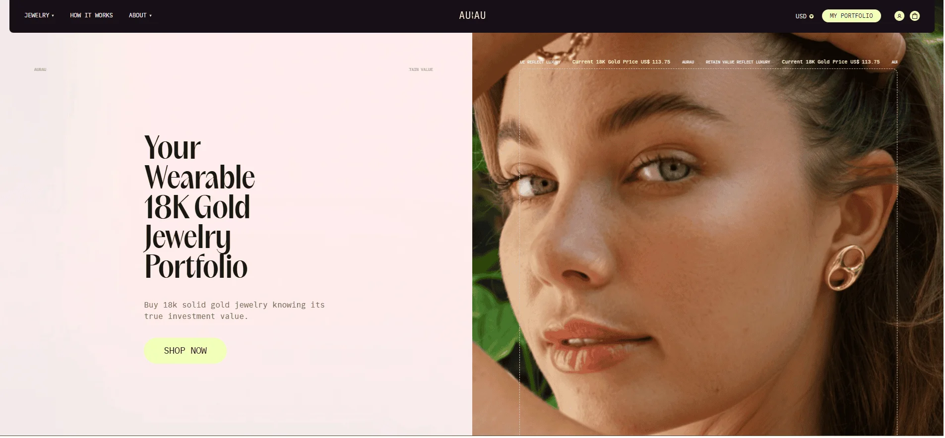 aurau homepage