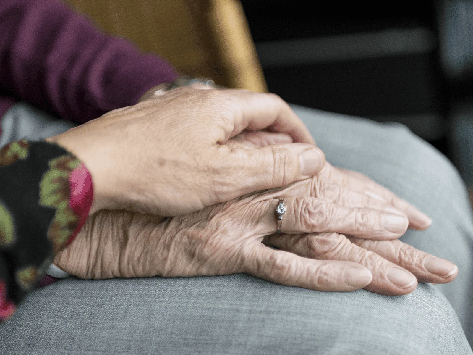 senior scams are on the rise