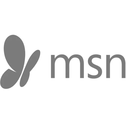 msn logo gray